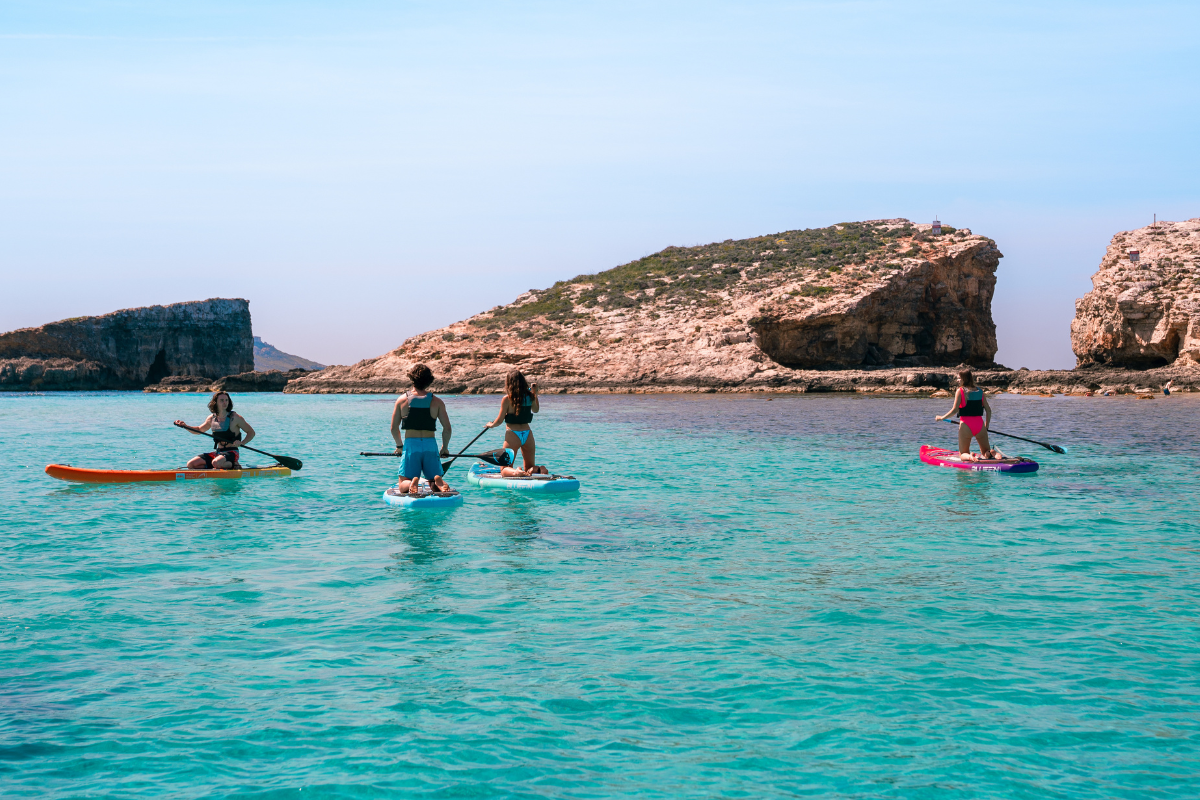 four people paddleboarding in the ocean with bright blue skies