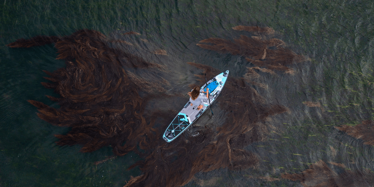 paddleboarding in the ocean