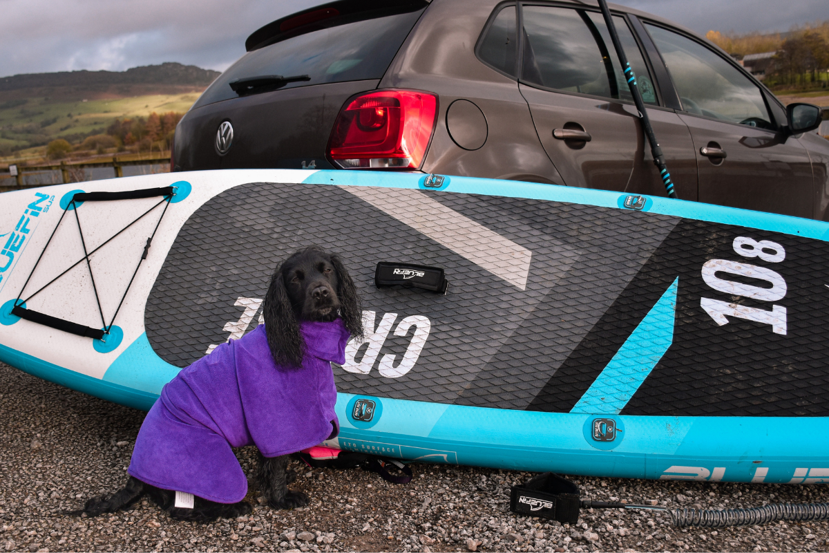 paddleboarding with your dog
