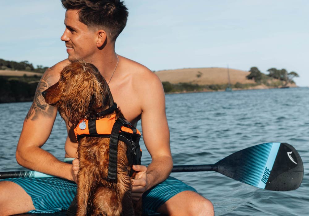 Man sitting on a paddleboard with a dog wearing a life jacket, enjoying the water.