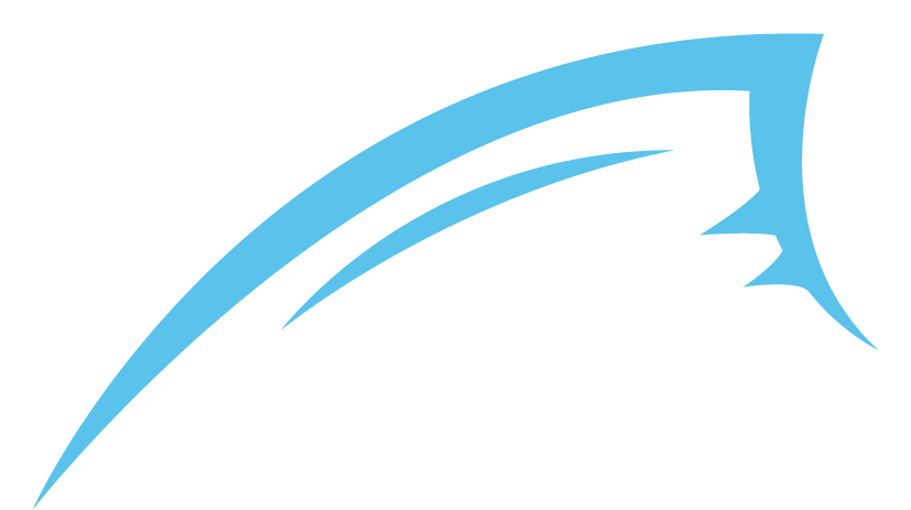 Stylized blue fish logo featuring a sleek design and dynamic curves.