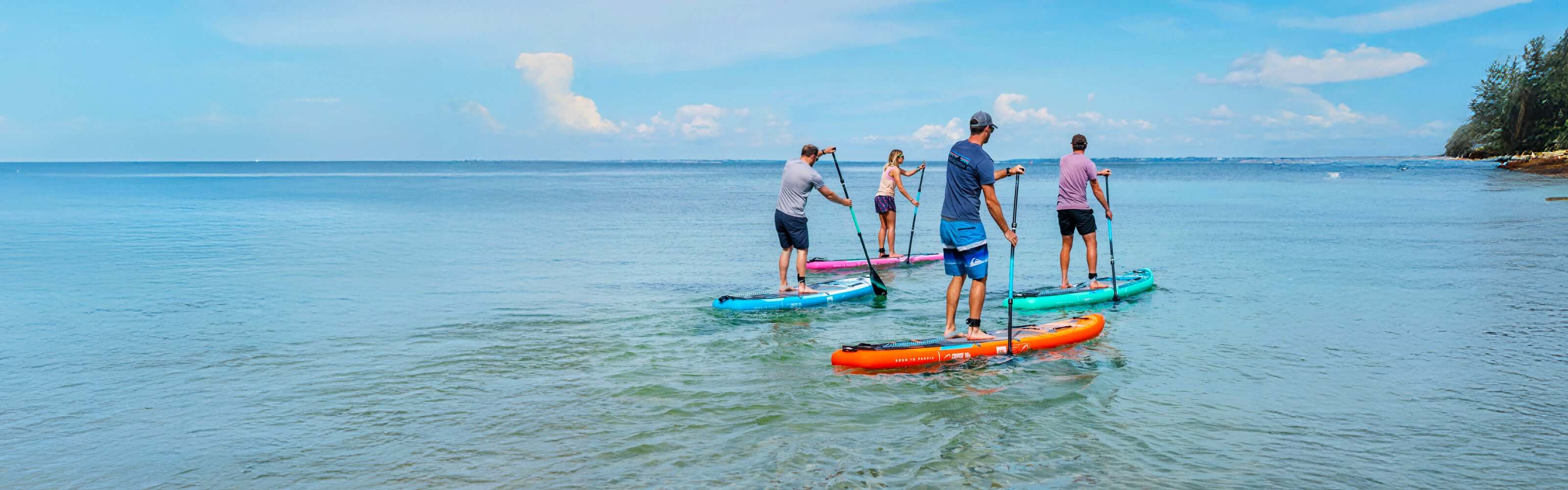 Group paddleboarding on calm water with clear blue skies and lush greenery in the background.