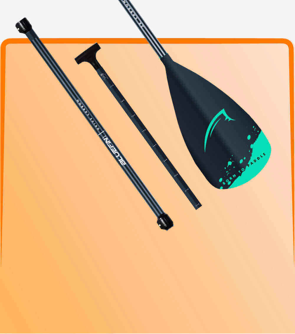 Paddle with black shaft and green blade on a peach background