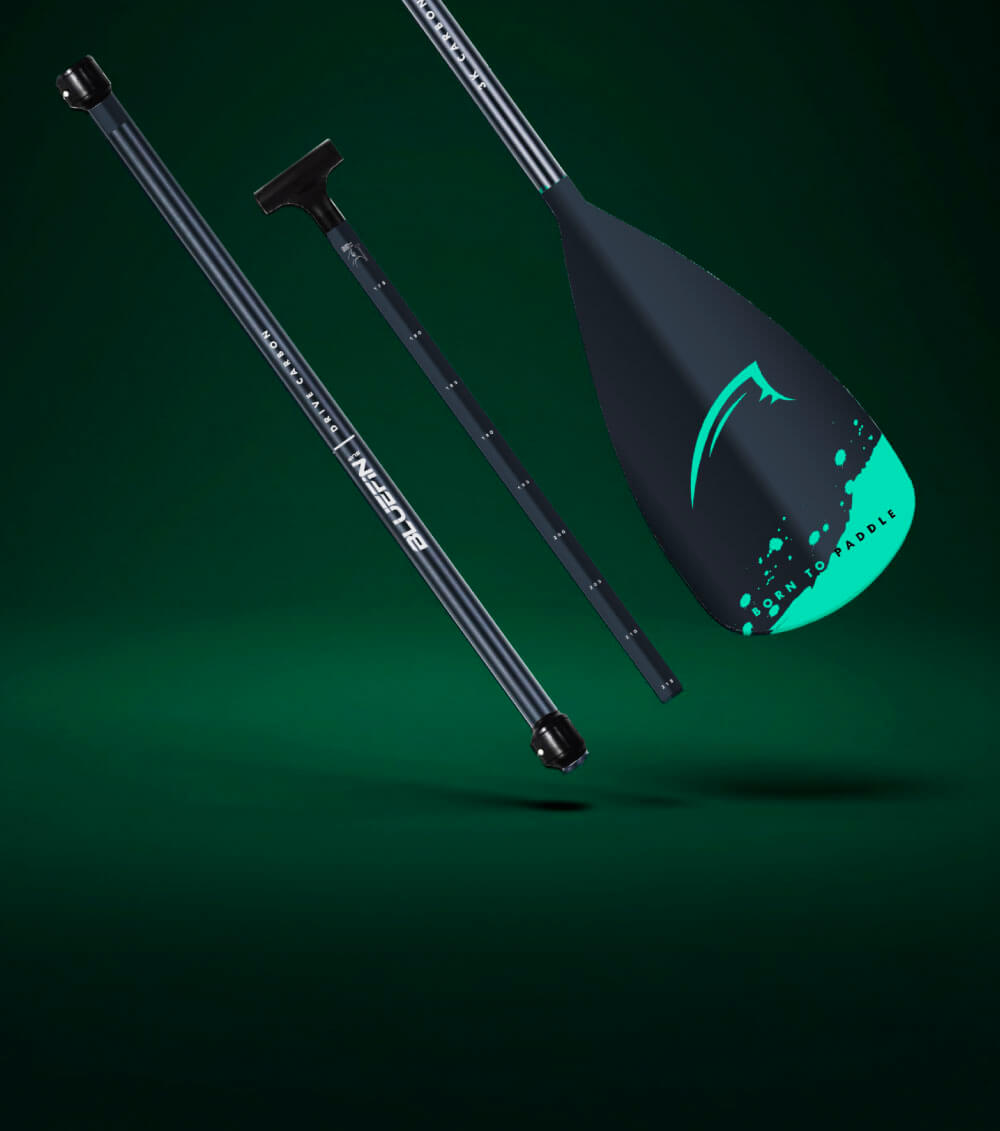 Three-piece paddle with a black shaft, T-grip handle, and teal blade with a logo.