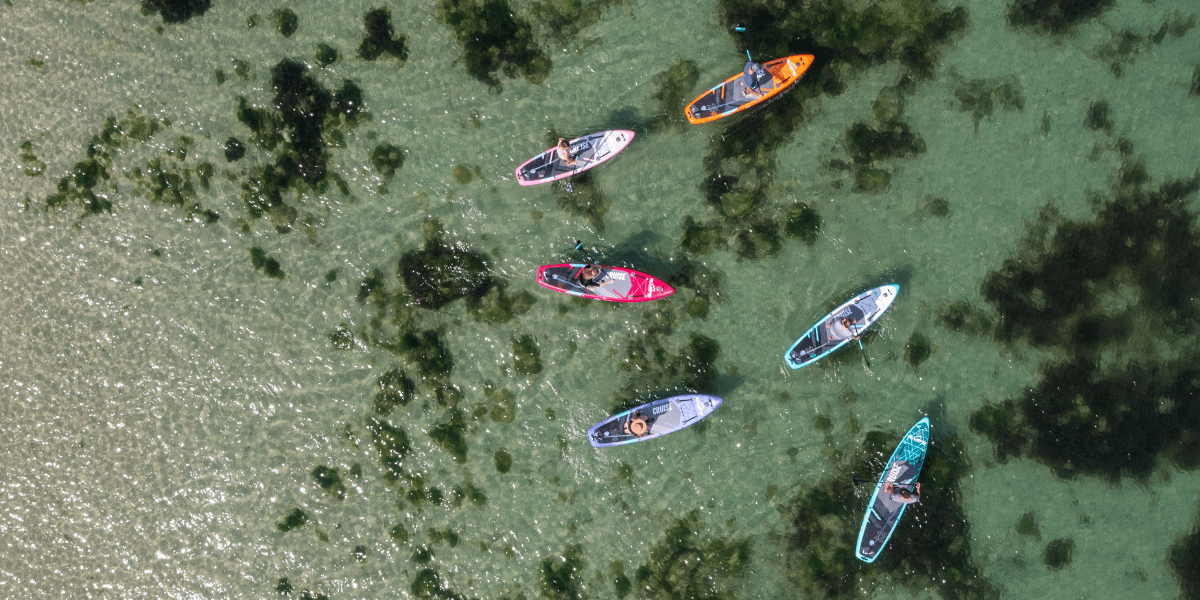 group of paddleboarders