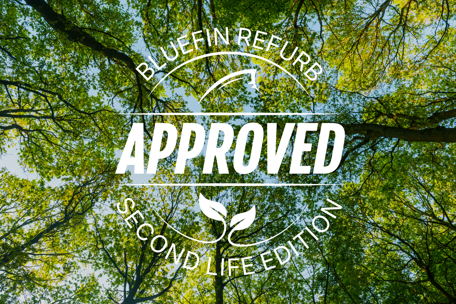 Green tree canopy with sunlight, featuring a circular logo that says 'APPROVED' and 'SECOND LIFE EDITION