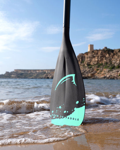 4-Piece Premium Carbon Paddle