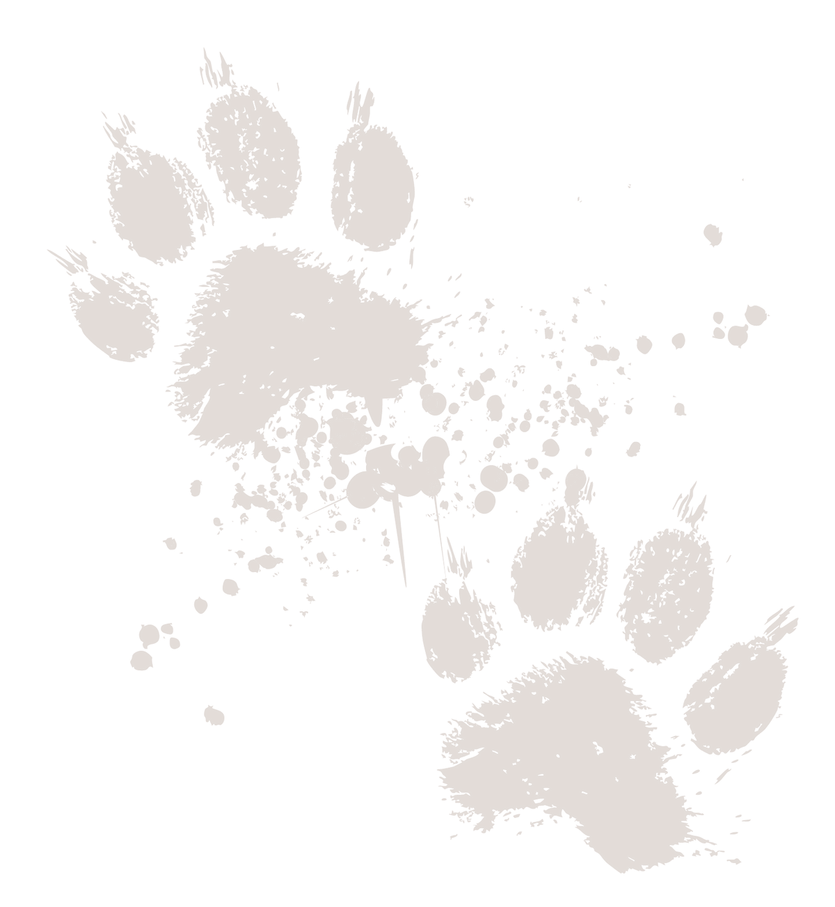 Brown paw prints with splatters on a white background, showing details of the paw shape and texture.