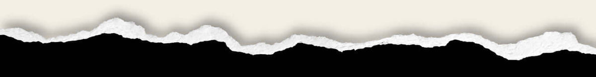 Torn paper edge with a textured white top and black bottom against a light beige background
